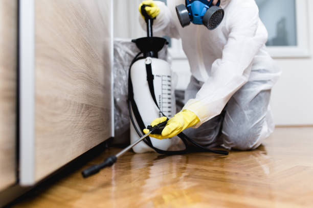  Van Buren, AR Pest Control Pros