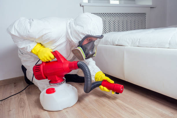 Pest Prevention Services in Van Buren, AR