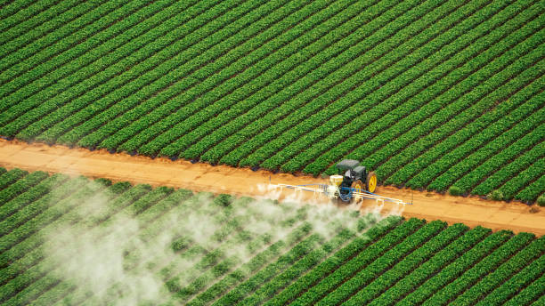 Best Local Pest Control Services  in Van Buren, AR