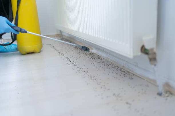 Best Affordable Pest Control Services  in Van Buren, AR