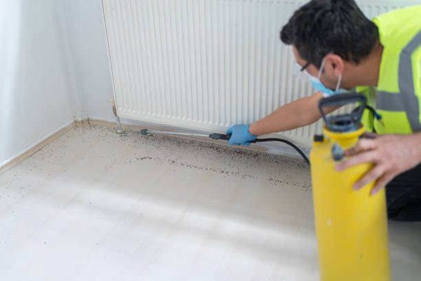Best Flea Control Services  in Van Buren, AR